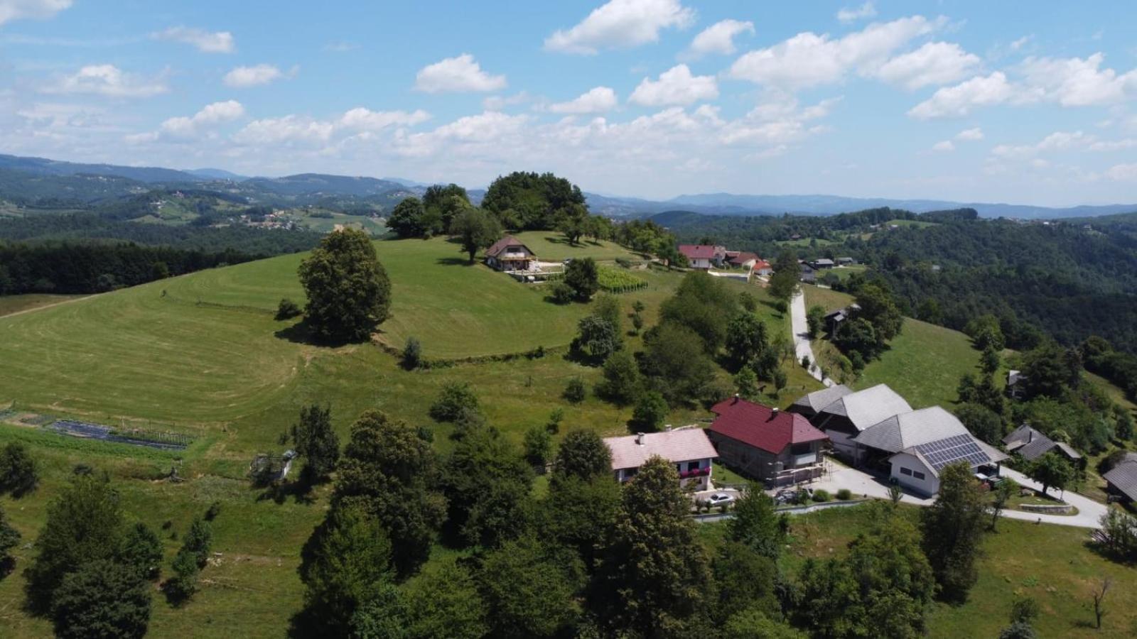 Zerko Holiday Home - Vineyard Chalet With Sauna And Jacuzzi Free Mirna Exterior foto