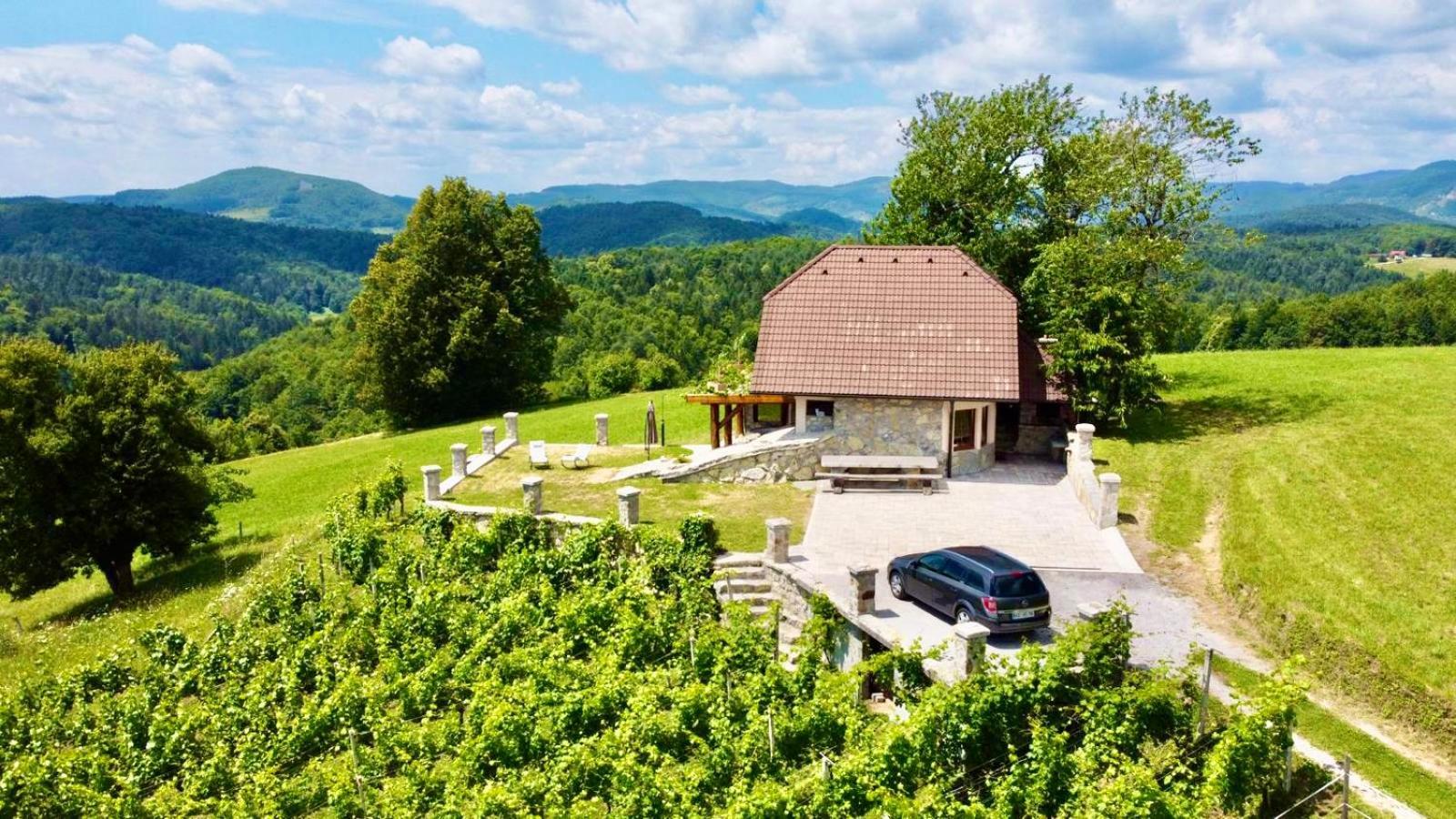 Zerko Holiday Home - Vineyard Chalet With Sauna And Jacuzzi Free Mirna Exterior foto