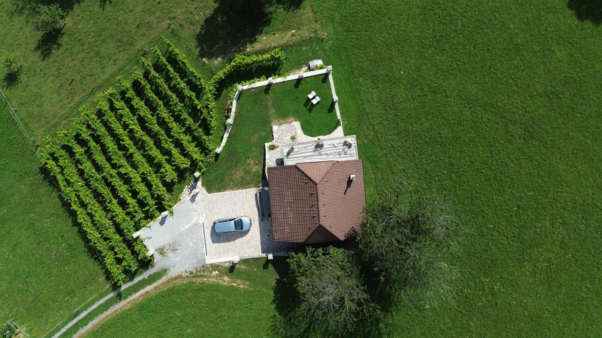 Zerko Holiday Home - Vineyard Chalet With Sauna And Jacuzzi Free Mirna Exterior foto